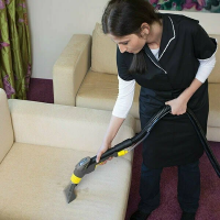 Пылесос моющий Karcher Professional PUZZI 10/1 (1.100-130.0) серый/желтый