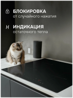 Индукционная варочная панель Zigmund & Shtain CI 22.6 B, черный