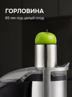 Соковыжималка Zigmund & Shtain EJ-755, стальной