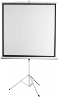 Экран 150x200см Digis Kontur-D DSKD-4303 4:3 напольный рулонный
