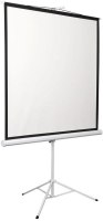 Экран 172x172см Digis Kontur-D DSKD-1104 1:1 напольный рулонный