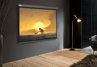 Экран Cactus 124.5x221см Wallscreen CS-PSW-124X221-SG, 16:9 настенно-потолочный рулонный серый