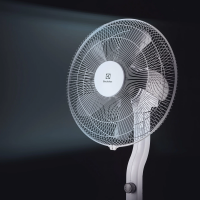 Вентилятор напольный Electrolux EFF-1003D, белый